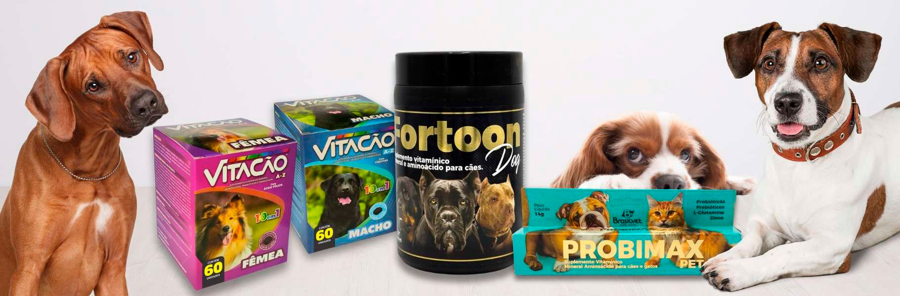 Bem-estar para Cães - BrasilVet